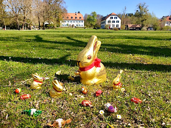 Osterhase